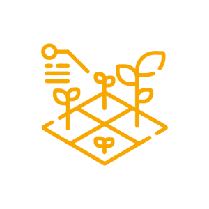 Iconos Uso eficiente de insumos