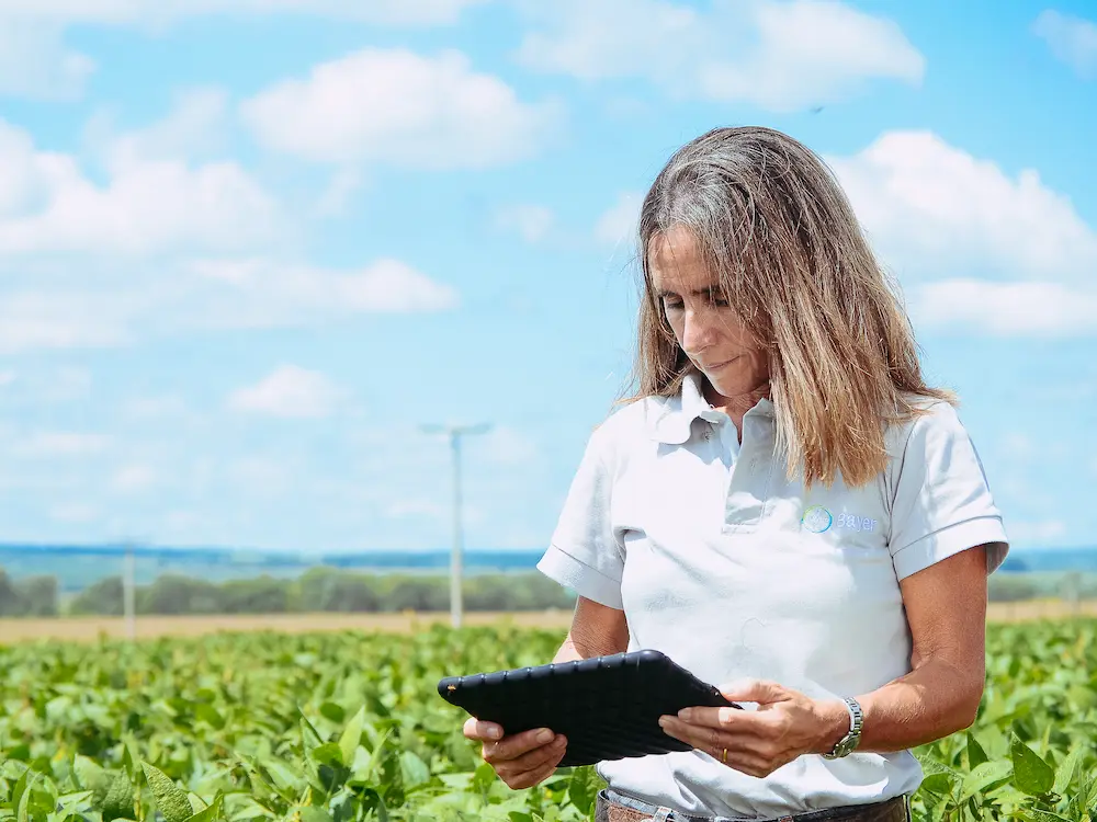 Conexión FieldView