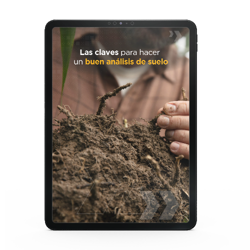 iPad (2)